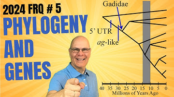 2024 FRQ 5 Unveiled! Phylogenetic Trees and Gene Structure