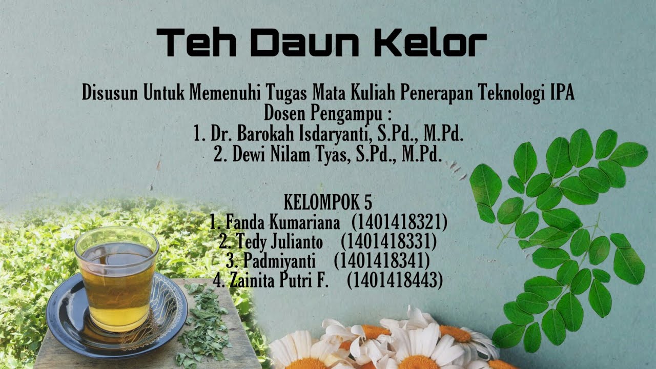 Cara Membuat Teh Daun Kelor | Teh Kelor Sehat 