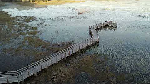 Crews Lake Wilderness Park Wedding. Jan 8th 2022
