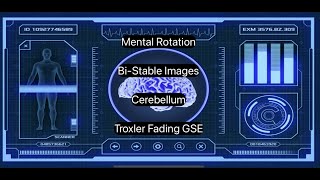 The Simple Mental Rotation App Suite. Tools to assist balance rehabilitation and postural stability.