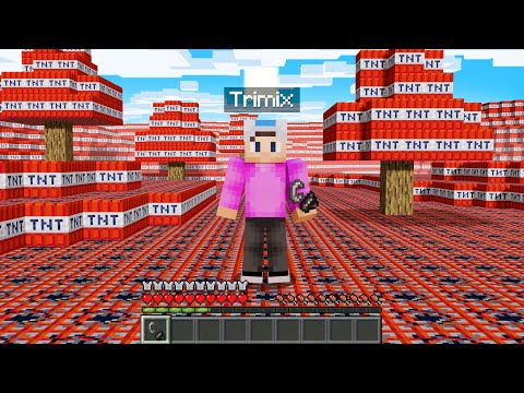 Minecraft, But the ENTIRE World is TNT!