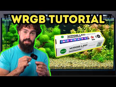 DALUA WRGB LED Bar Light | Scheduler Tutorial