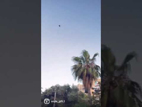 فرحة منى الكرد في حي الشيخ جراح