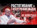 Растяжка после тренировки для роста мышц (Селуянов)