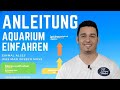 Wie ein Aquarium Einfahren | Einfach erklärt und SEHR WICHTIG! (Vermeide Typische Fehler) -Erklärung