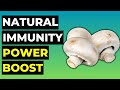 Top 5 Natural Supplements to Enhance Immunity