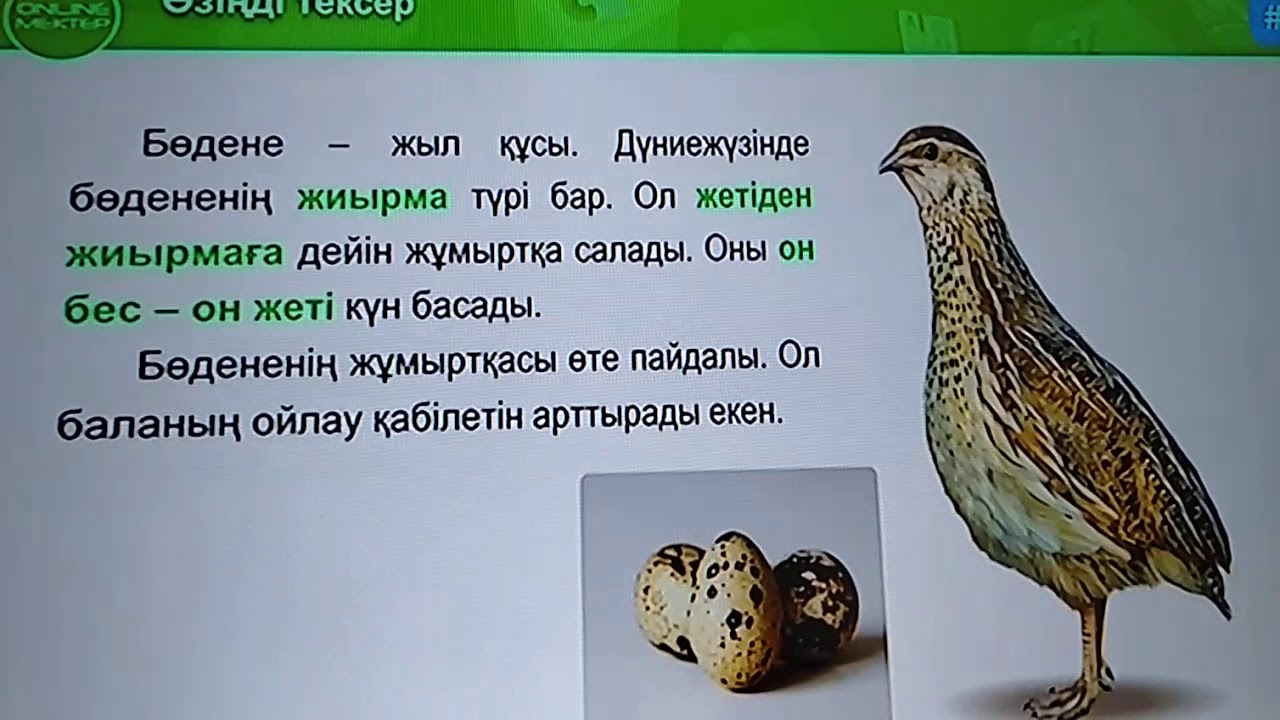 Казак тили - YouTube