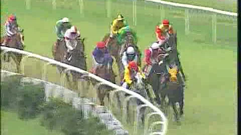 Malana with P Vikram up wins The Bello Rock Handic...
