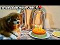 Doggo Thing :Jeff’s 10th Barkday