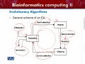 BIF602 Bioinformatics Computing II Lecture No 127