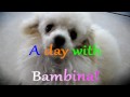 A day with Bambina!