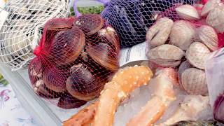 It's Clambake Season! | Brand New Sweetie Clams!