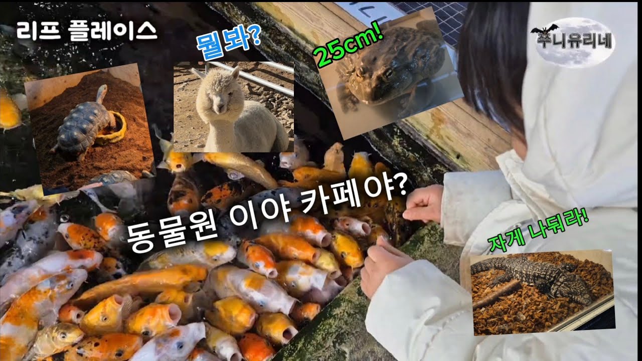 Ep.9 동물농장? 카페!? 아이들과 가봤습니다.(feat:리프플레이스)