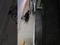🪛 05 Astro AWD How to remove carpet, POZIdrive screwdrivers needed