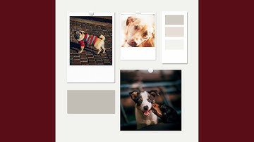 Pulsating Backdrops for Chill Pooches