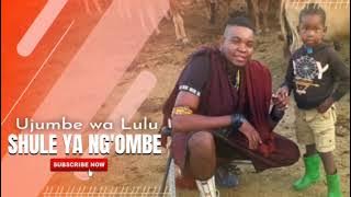 SHULE YA NG'OMBE UJUMBE WA LULU DOGANI OFFICIALS AUDIO MSAMBAZAJI SHULE YA 🐄🐄🐄