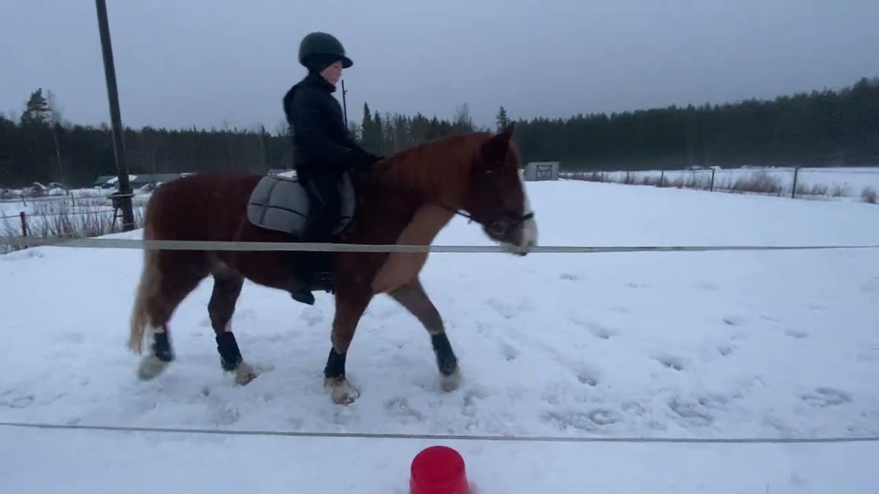 Tyra&Häjy Helppo d3