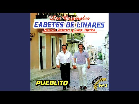 Estoy Pagando