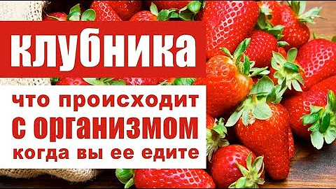 Клубника - вот что происходит с организмом, когда Вы её едите
