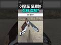 아무도 모르는 진짜 정체