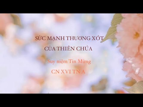 🌞 SỨC MẠNH THƯƠNG XÓT 💖CỦA THIÊN CHÚA 🌼