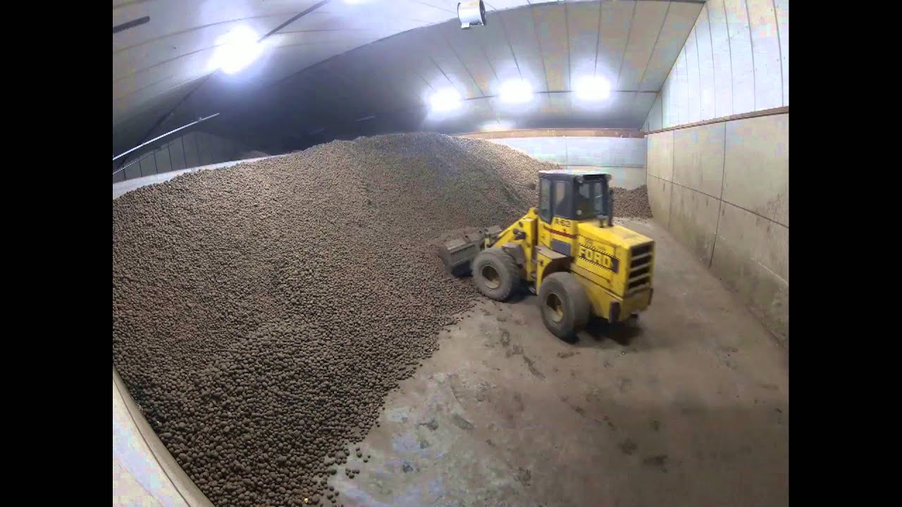 TIMELAPSE loading 1000 tons of potatoes | Kartoffeln verladen
