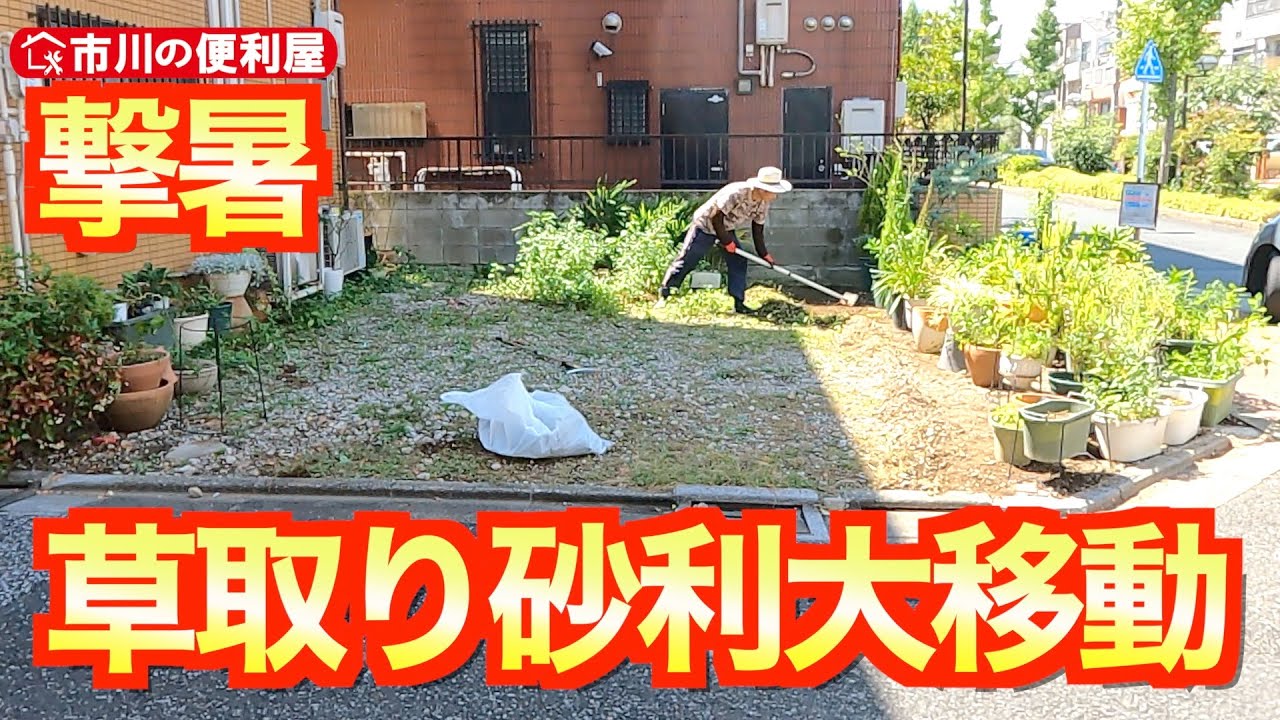 【42㎡草取り+皆既月食】撃暑の中52植木鉢と砂利の大移動しつつグラウンドピピーリング、ミョウガ収穫☀️おまけコーナーは皆既月食180倍速ダイジェスト🌙作業料一覧、お問い合わせ先は概要欄をご覧下さい！