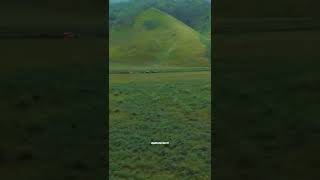 Adam Putra Travel Di Kota Malang