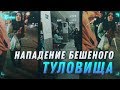 НАПАДЕНИЕ БЕШЕНОГО ТУЛОВИЩА [Бумеранг]