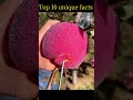 top 10 unique facts #IkkuFacts #FoodFacts #AppleLove #HealthyEating #FunFoodFact #DidYou #ikkufacts