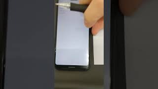 PXL 20210402 000147456