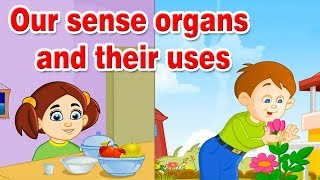 Our sense organs and their uses | Human Sense Organs | Learn about five Senses | Home Revise screenshot 3