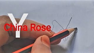 Download Lagu China Rose drawing easy tutorial with Alphabet letter Y Download Lagu China Rose drawing easy tutorial with Alphabet letter Y