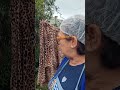 Não dá nem pra lavar roupa tanta chuva como está a sua cidade?