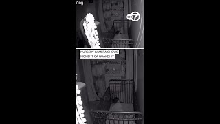 Nursery camera shows moment California earthquake hit Net Worth