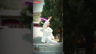 Aura kungfu master! teknik keseimbangan tendangan yang mematikan #kungfu #mma #shorts Aura kungfu master! teknik keseimbangan tendangan yang mematikan #kungfu #mma #shorts