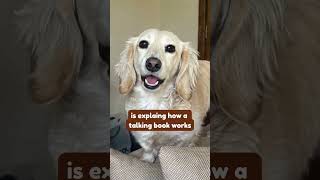 A Talking Dog Explains a Talking Book 🐾 | Meet Wilson Narrated Edition