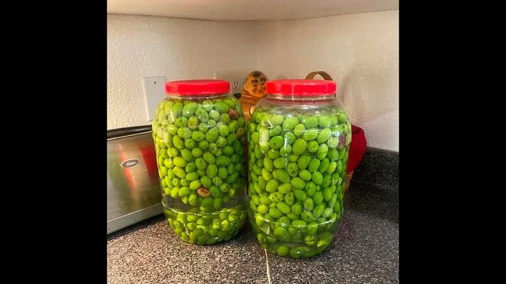 Olives:  The Fastest and Easiest Way to Prepare Gr...