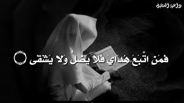 لا يحزن قارئ القرآن..😍 محمد راتب النابلسي❤