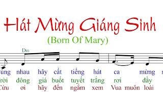 Hát Mừng Giáng Sinh (Born of mary) (tập hát 2017) -  AnnaSaoMai