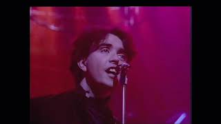 Icicle Works 'Love Is A Wonderful Colour' TOTP (1983) HD