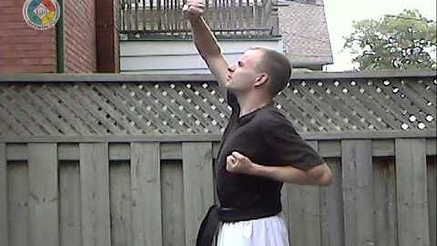 Taekwondo: Hapkido: Foundations: high block, side view