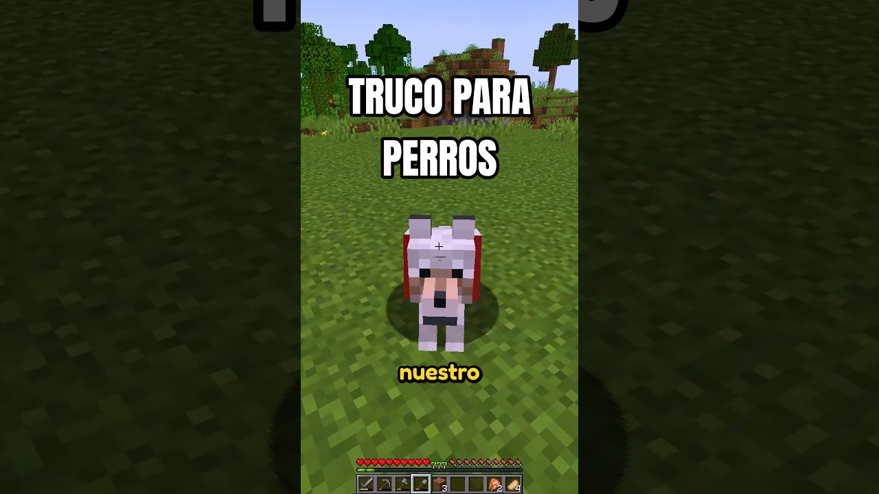 ¿VUESTRO PERRO TAMBIÉN HACE ESTO? 🫠🐶 #mikecrack