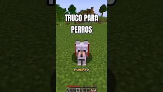 ¿VUESTRO PERRO TAMBIÉN HACE ESTO 🫠🐶 #mikecrack