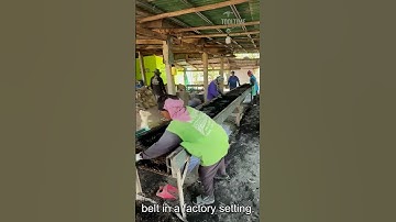 Material Sorting Process #Machinery #Efficiency #ConveyorBelt