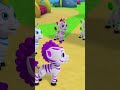 Maple’s Quest to Get Small Again – Will She Succeed? | Zoonicorn