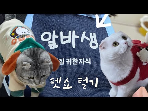 [ENG SUB] 부산펫쇼 다녀왔습니다💸 Pet Show Haul