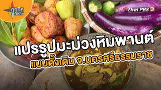 แปรรูปมะม่วงหิมพานต์กินในครัวเรือน จ.นครศรีธรรมราช | อาชีพทั่วไทย