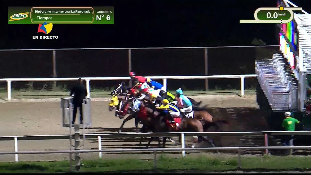 6ª. carrera | 4ª. válida | EL DE WILL | Hipódromo La Rinconada | Reunión 01 | 2026