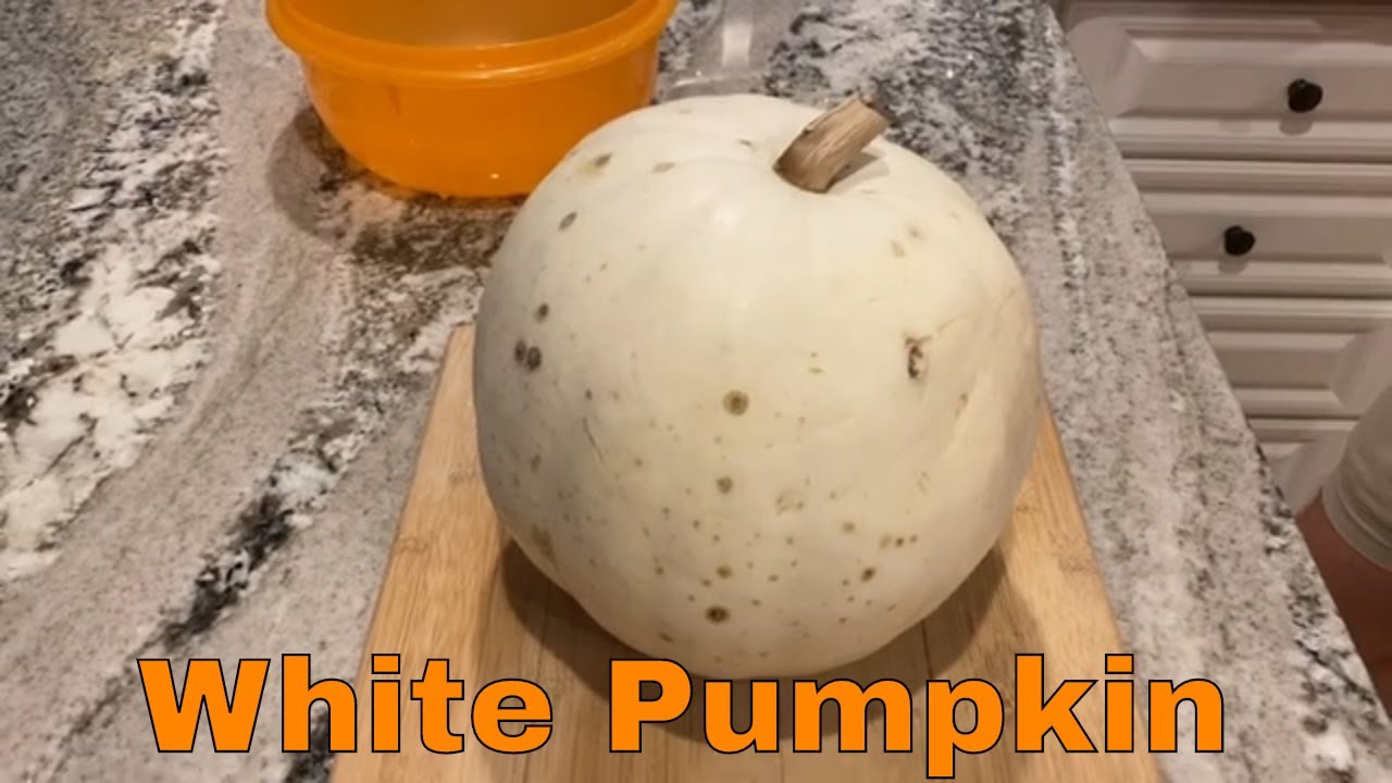 Halloween Fun White Pumpkin, Pumpkin Seeds, & White Pumpkin Pie YouTube